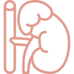 suprarenal